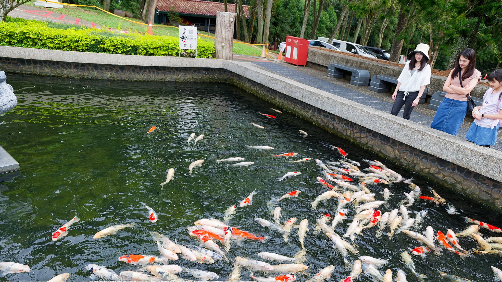 04 - Sun Moon Lake (8).jpg